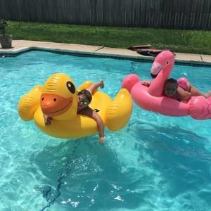 Meet your Posher, Sue